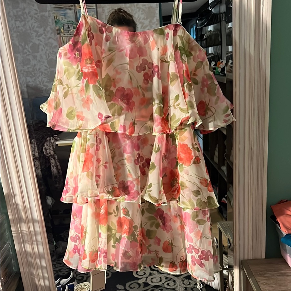 Abercrombie Floral Layered Dress